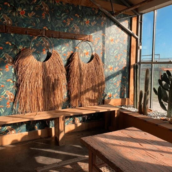 97175477_252033372822679_3522249009538269184_o