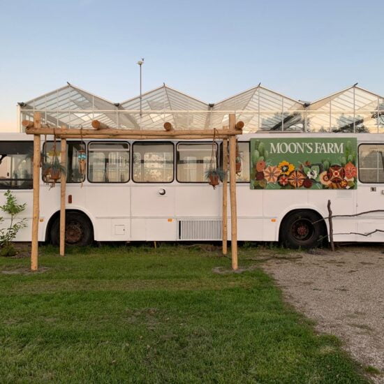 ee7d50c1-d002-4186-925c-4e204c25bbf8