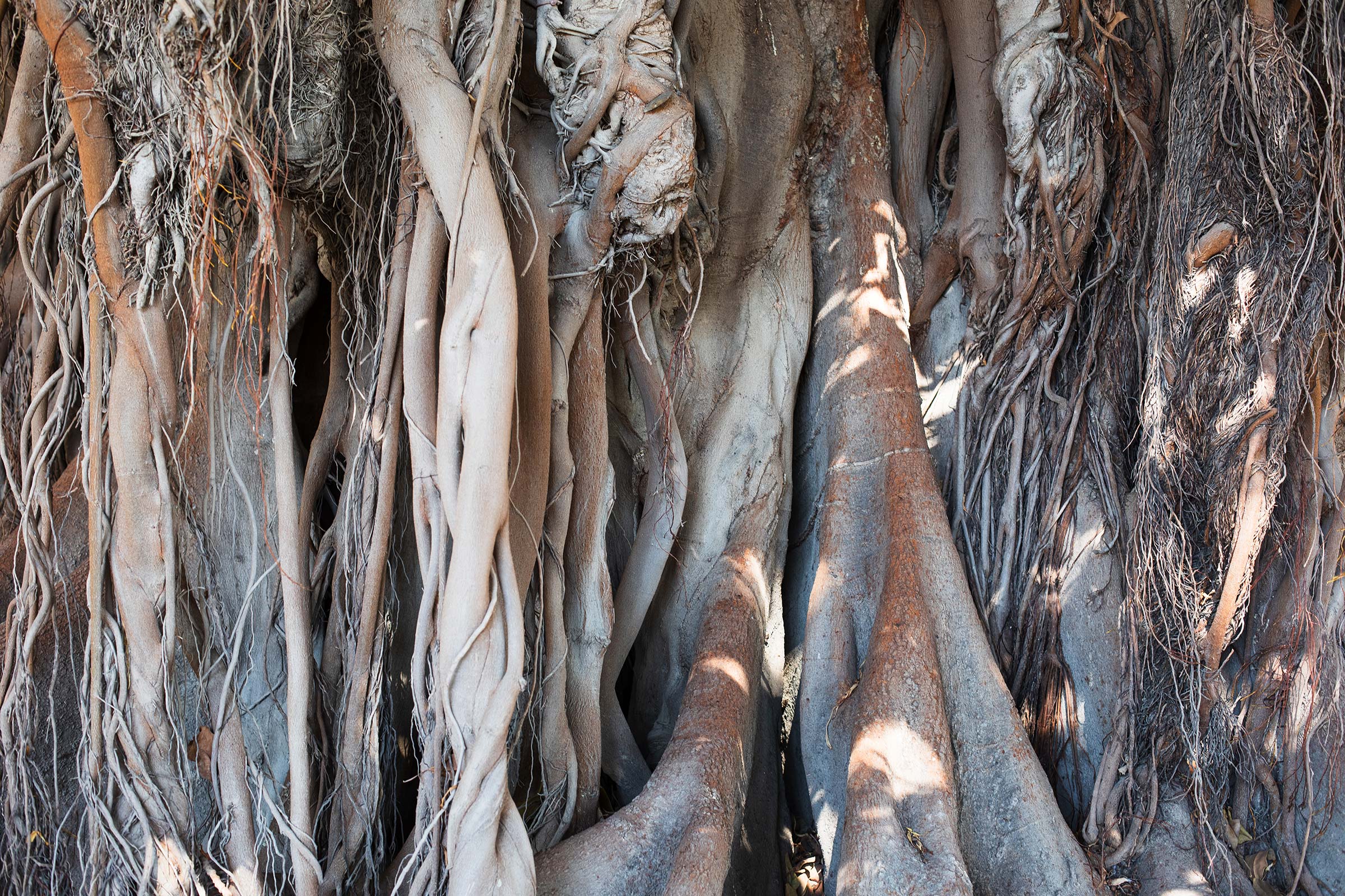 invitation afbeelding