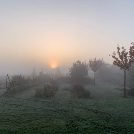 7a7eda1a-1f7e-4e49-8b64-692d8e6d5599