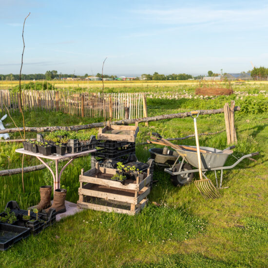 moonsfarm-20200526-6002